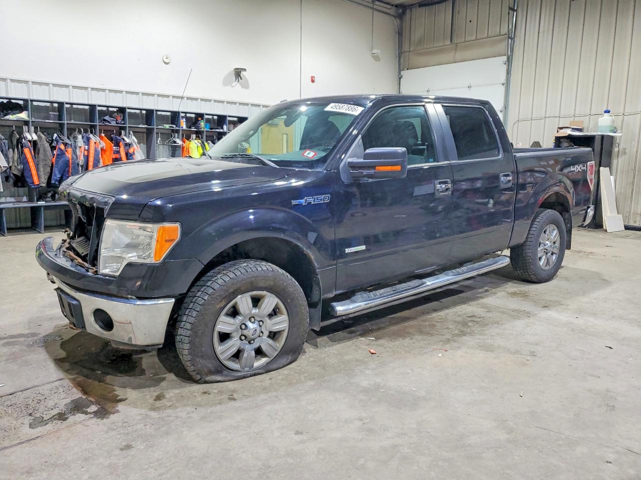 Salvage Ford F-150 Image