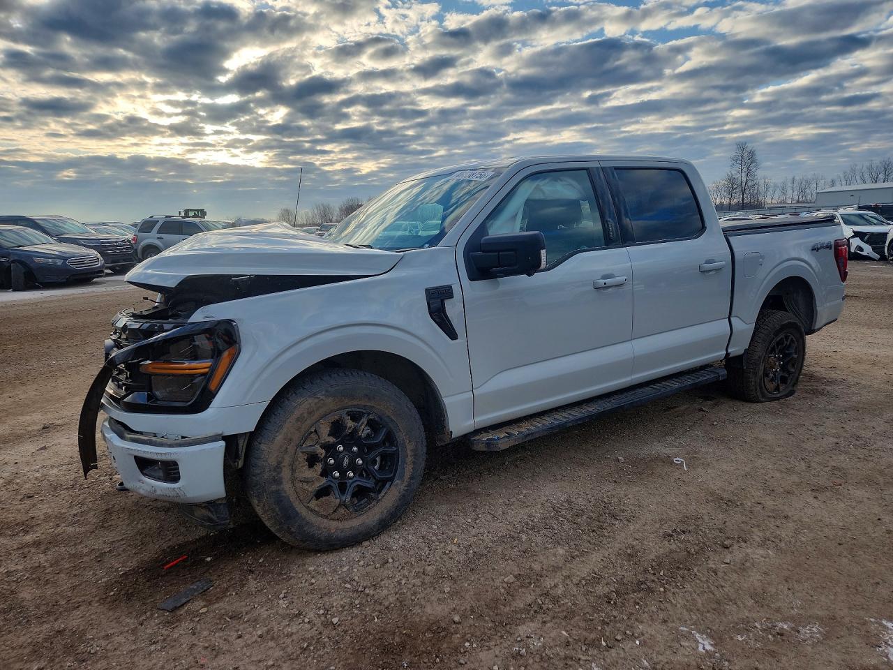 Salvage Ford F-150 Image
