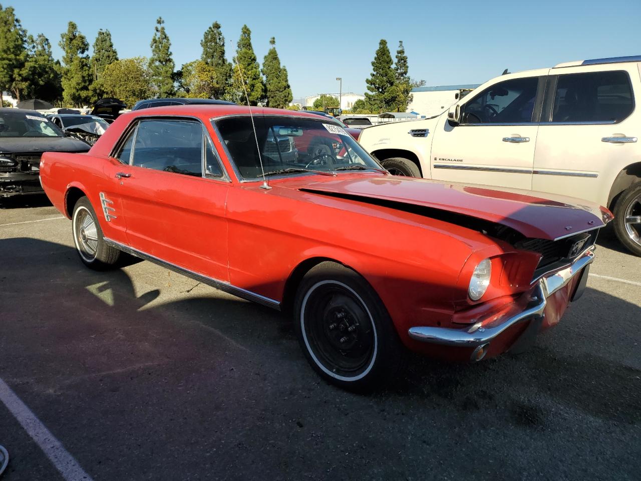Ford Mustang