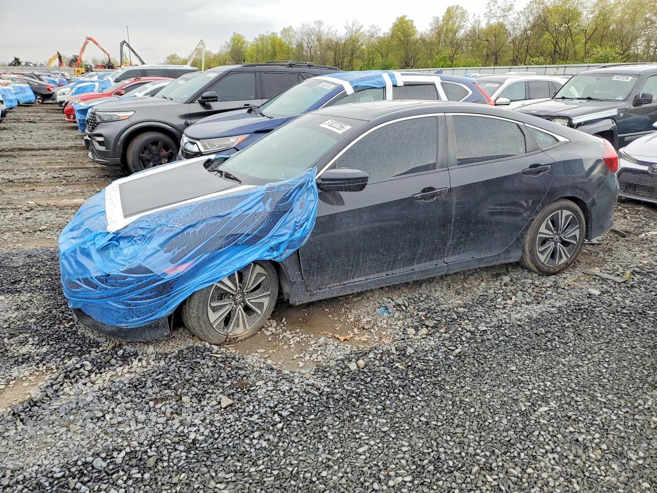 Salvage Honda Civic Image