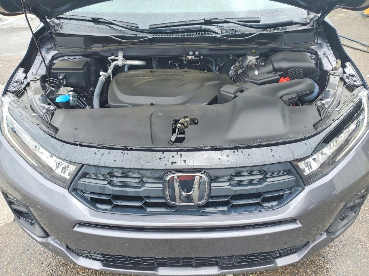 Honda Odyssey Exl
