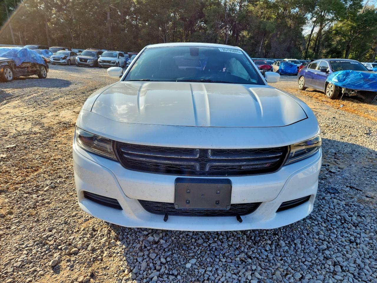 Dodge Charger Se