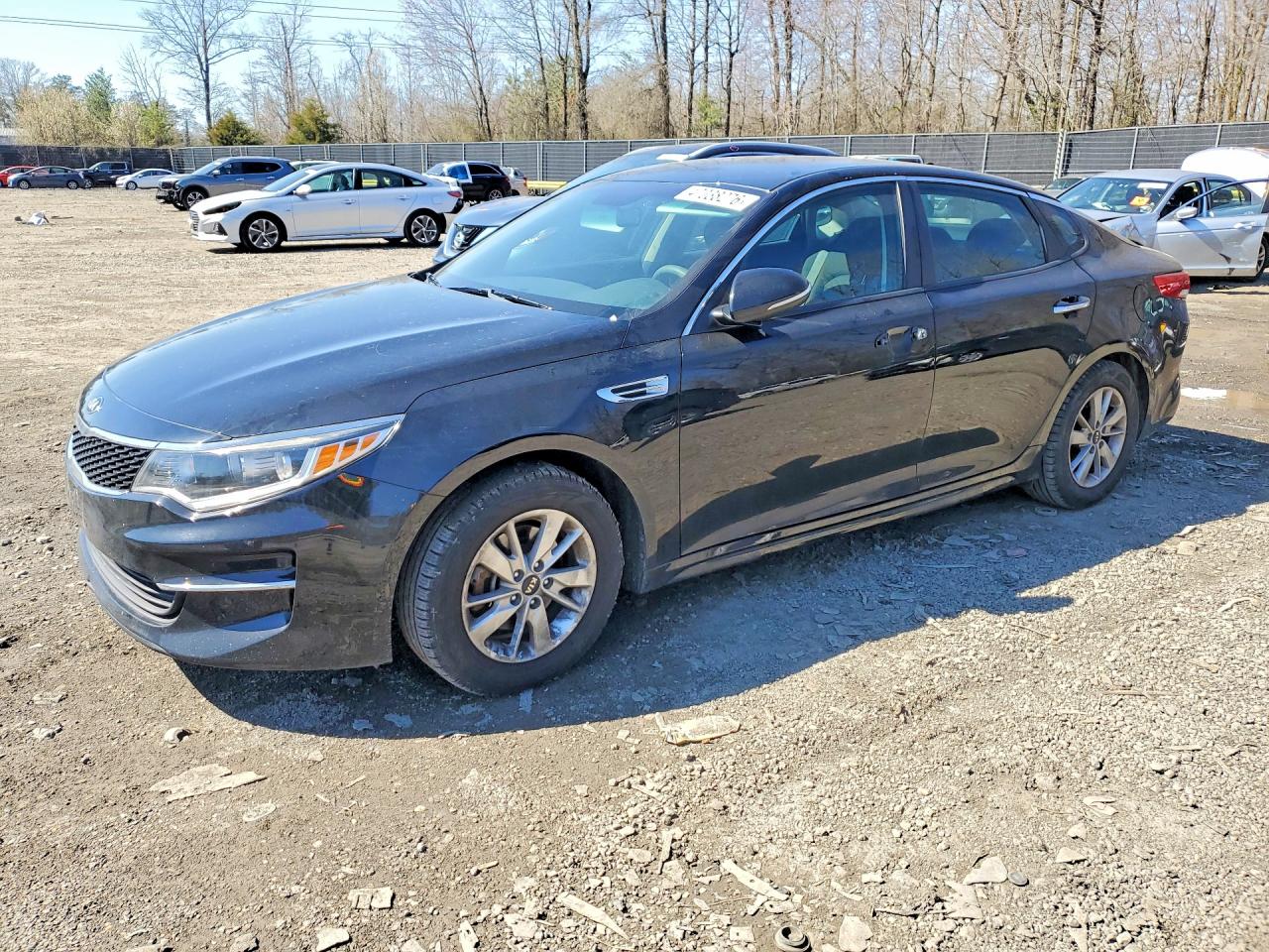 Salvage Kia Optima Image