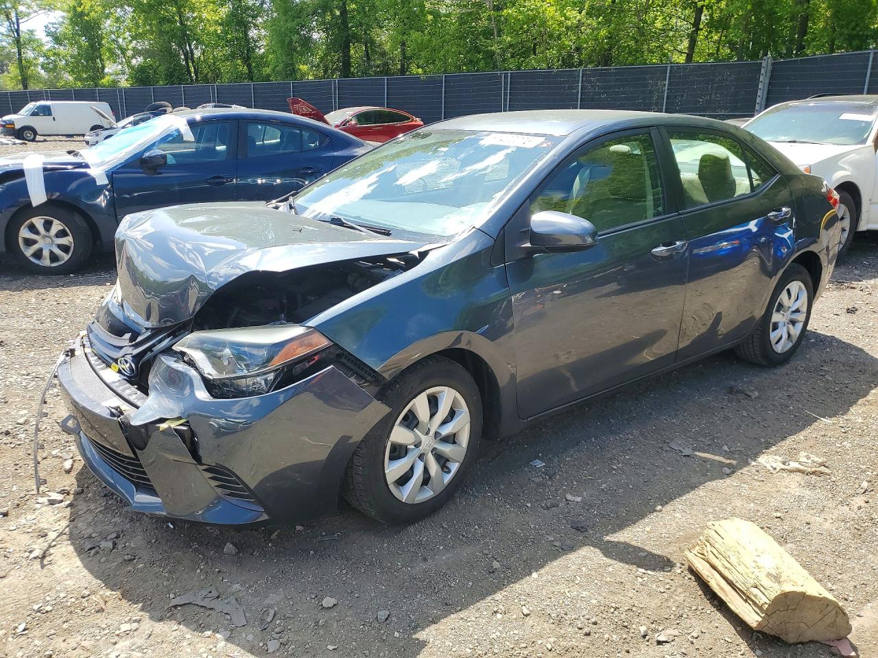Salvage Toyota Corolla Image