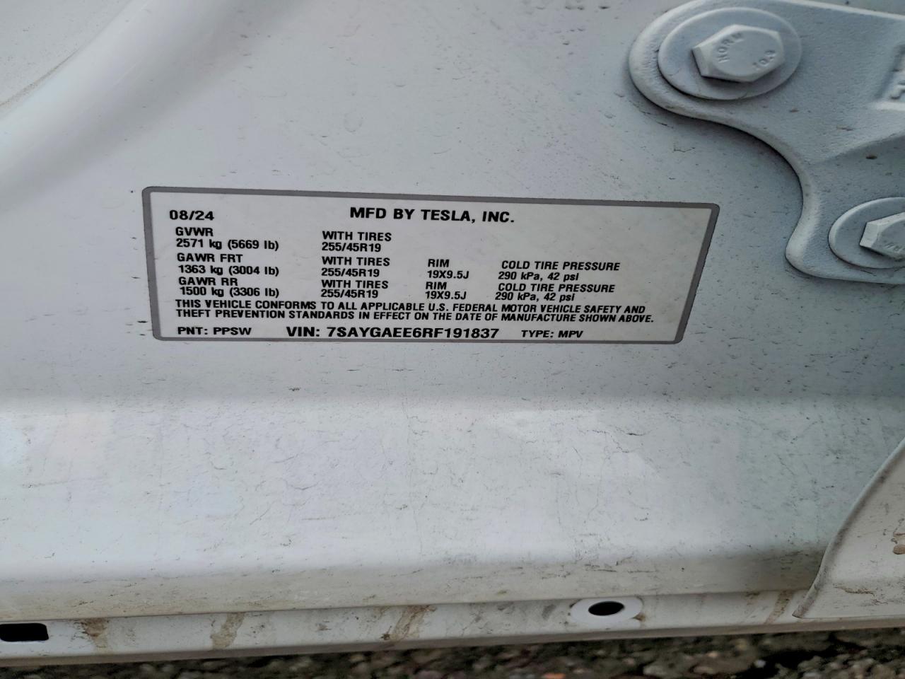 Tesla Model Y