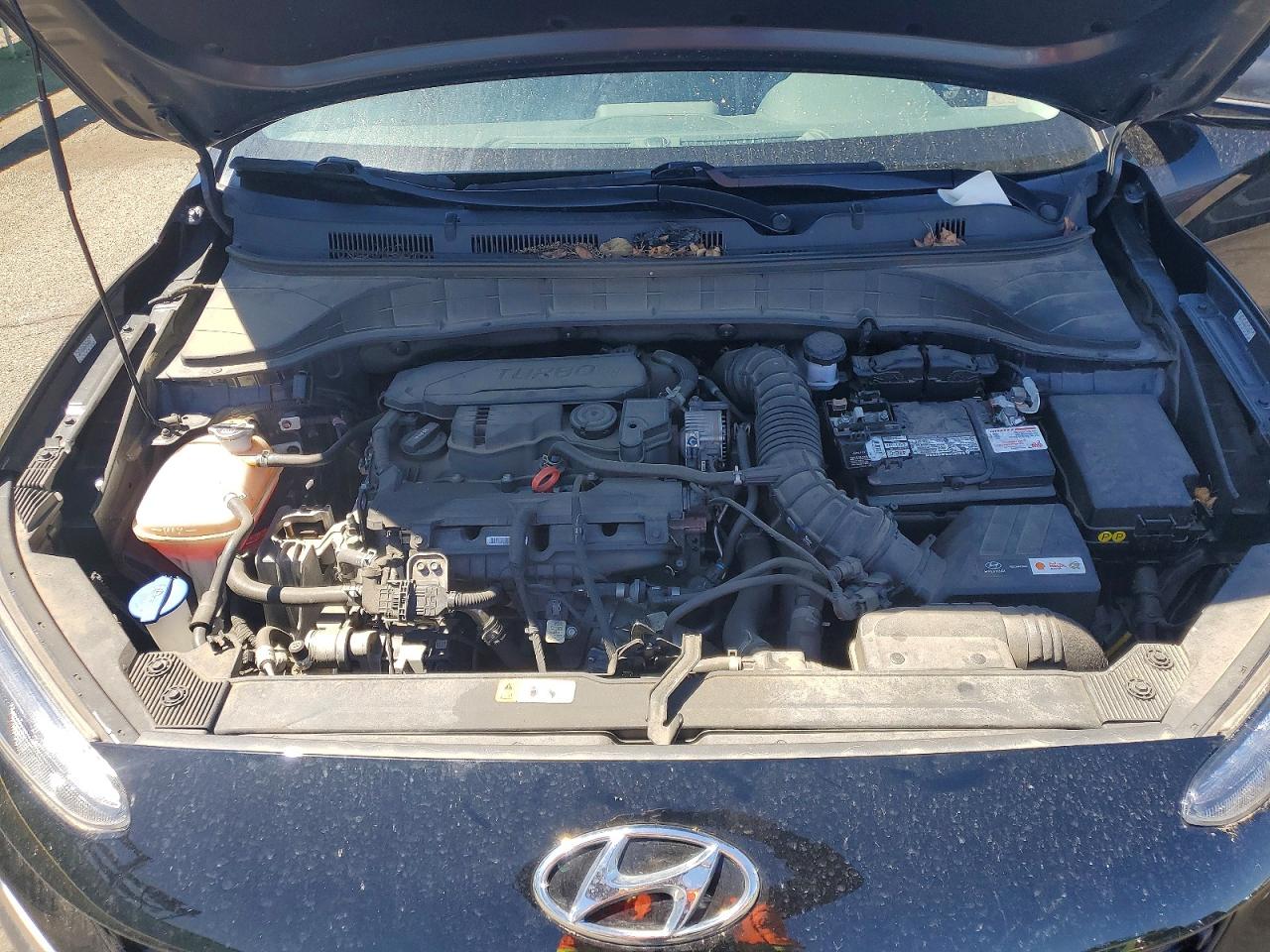 Hyundai KONA Limited