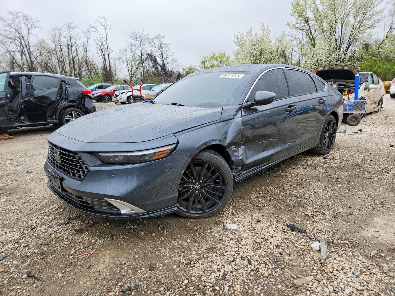 Salvage Honda Accord Image