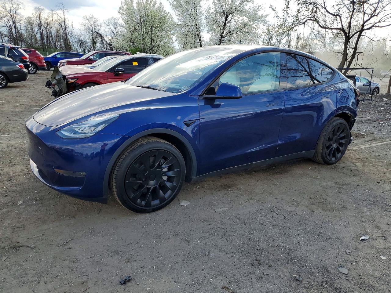 Salvage Tesla Model Y Image