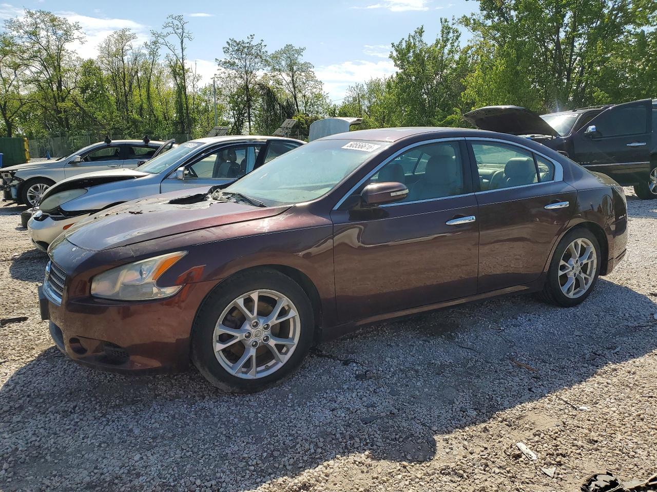 Salvage Nissan Maxima Image