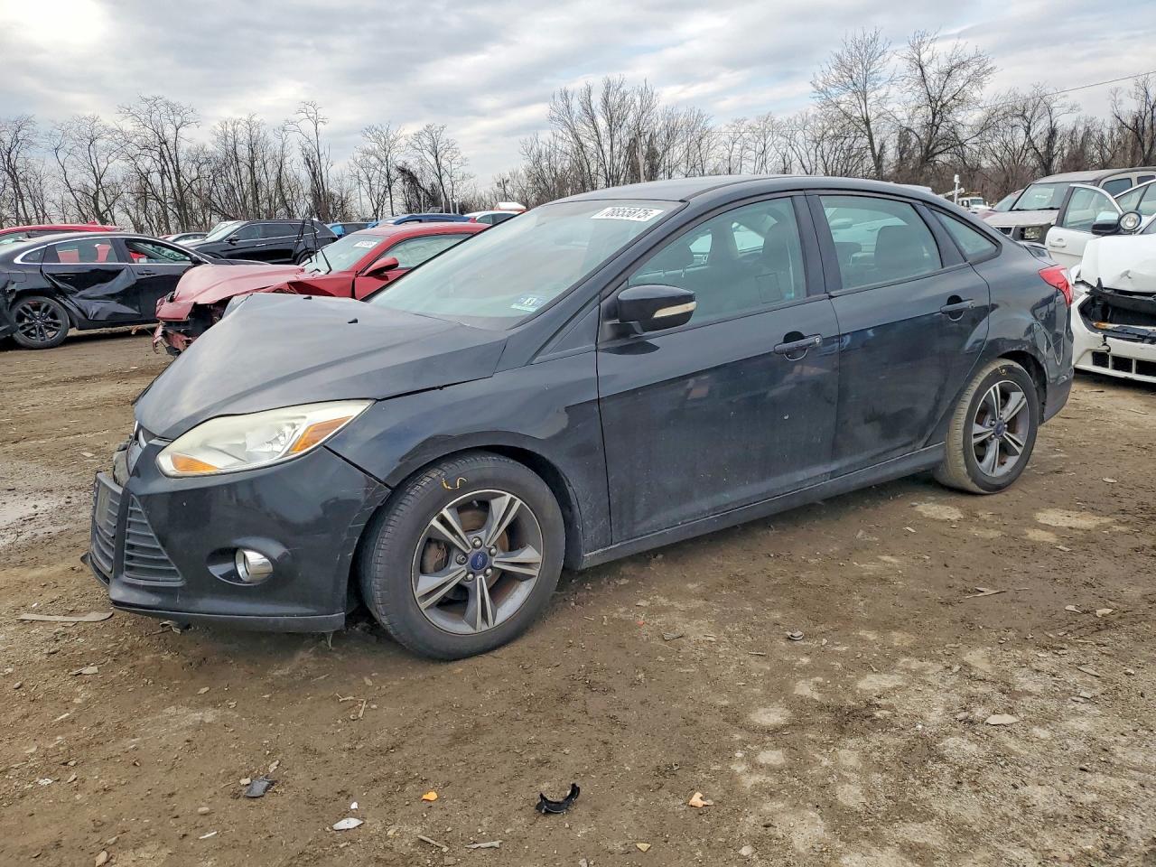 Salvage Ford Focus Image