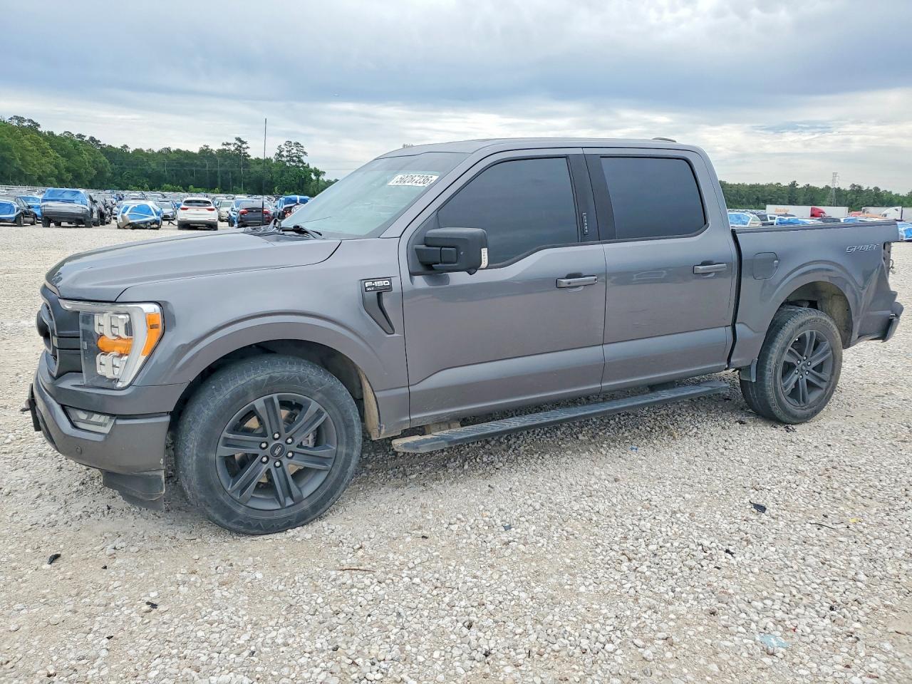 Salvage Ford F-150 Image