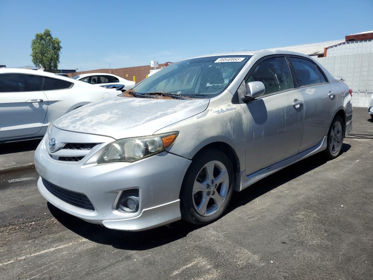 Salvage Toyota Corolla Image