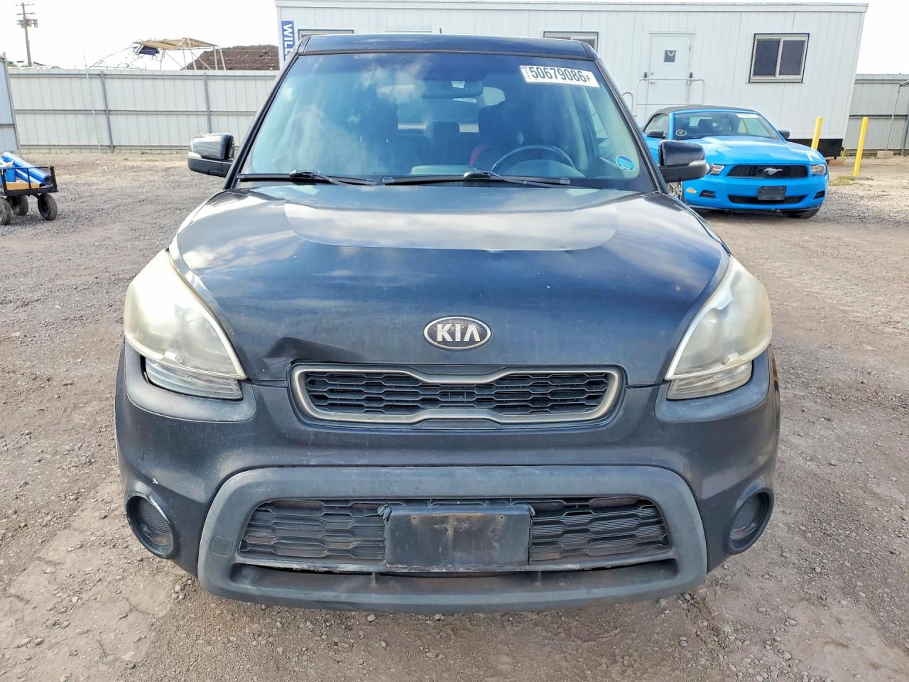 Kia Soul +