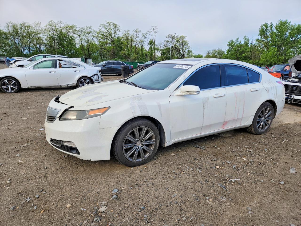Salvage Acura TL Image