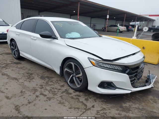 Salvage Honda Accord Image
