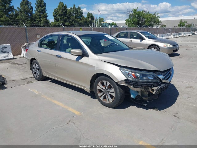 Salvage Honda Accord Image