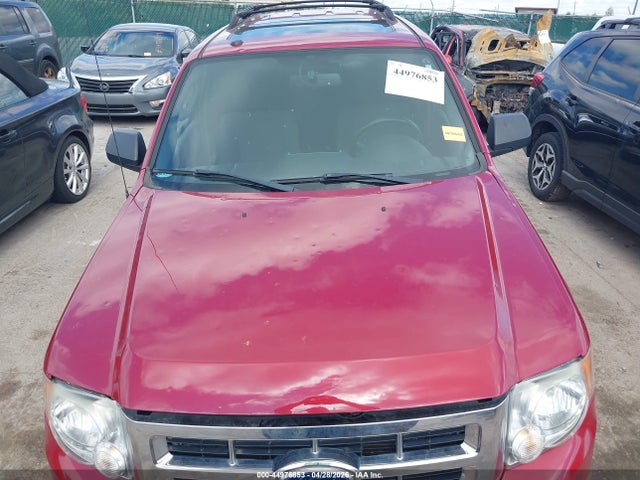 Ford Escape Xlt