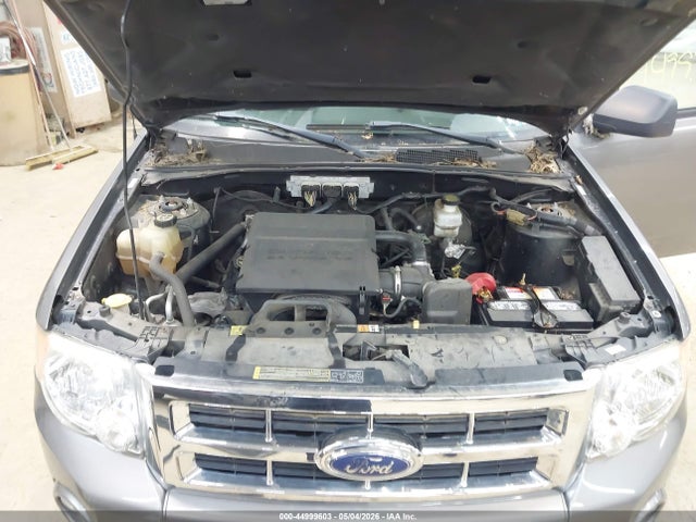 Ford Escape Xlt