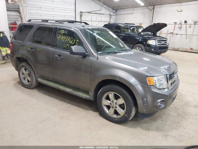 Salvage Ford Escape Image