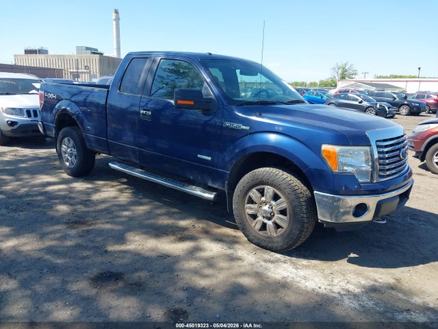 Salvage Ford F-150 Image