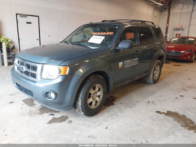 Ford Escape Xlt