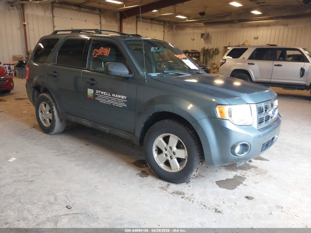 Salvage Ford Escape Image