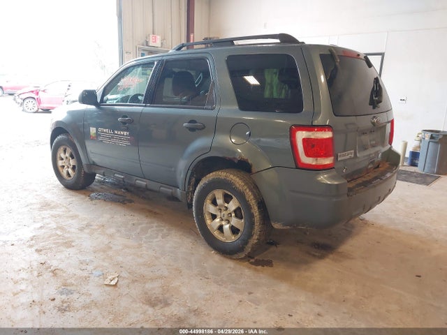 Ford Escape Xlt