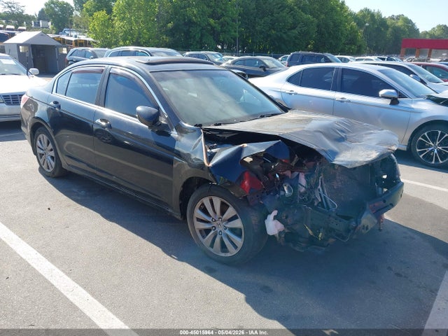 Salvage Honda Accord Image