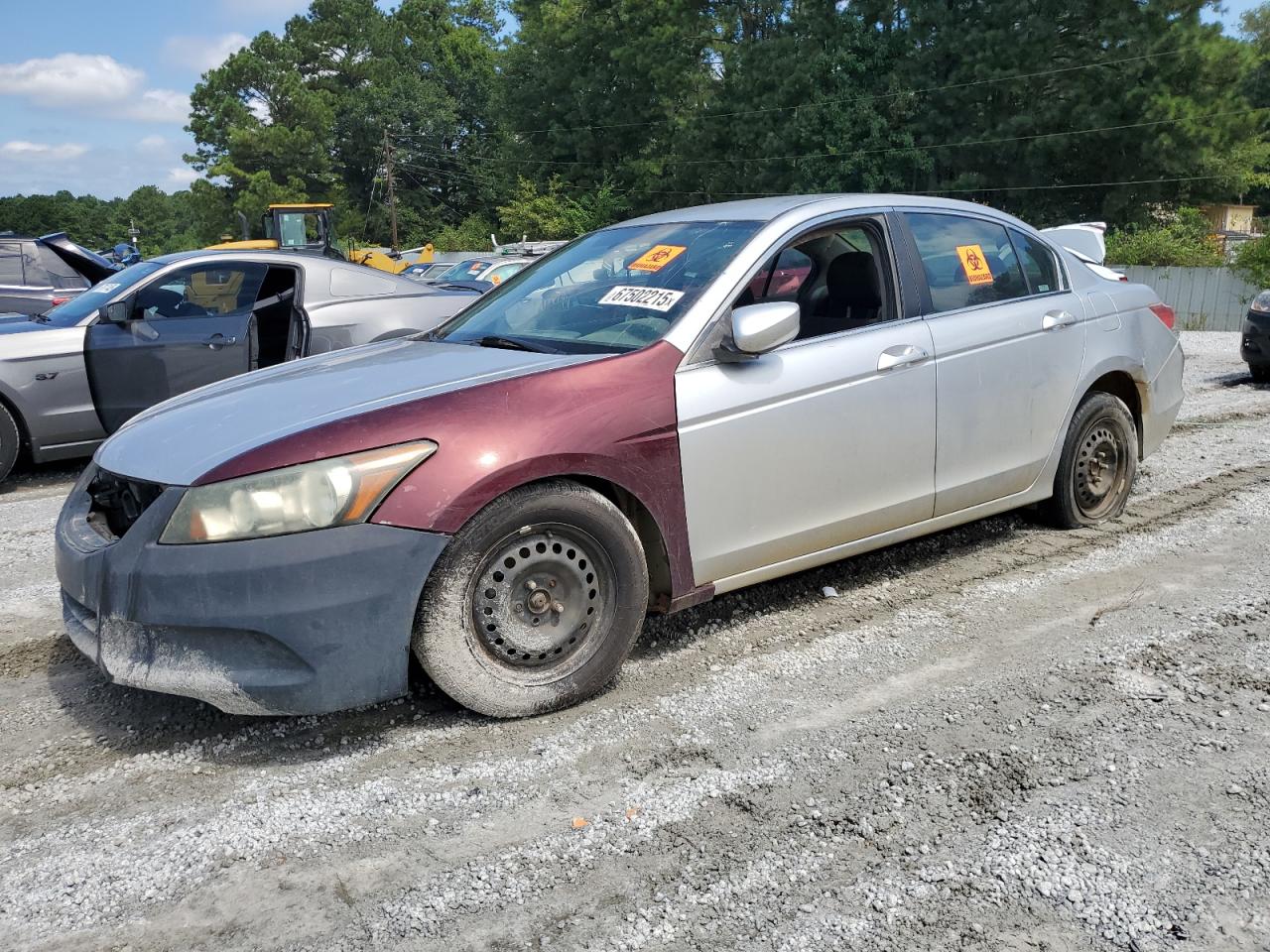 Salvage Honda Accord Image
