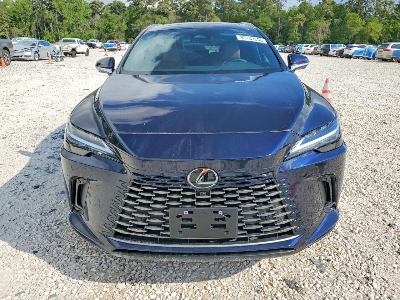 Lexus RX Premium