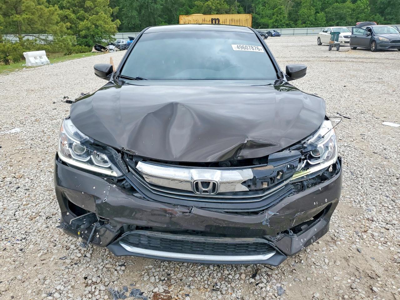 Honda Accord Sport