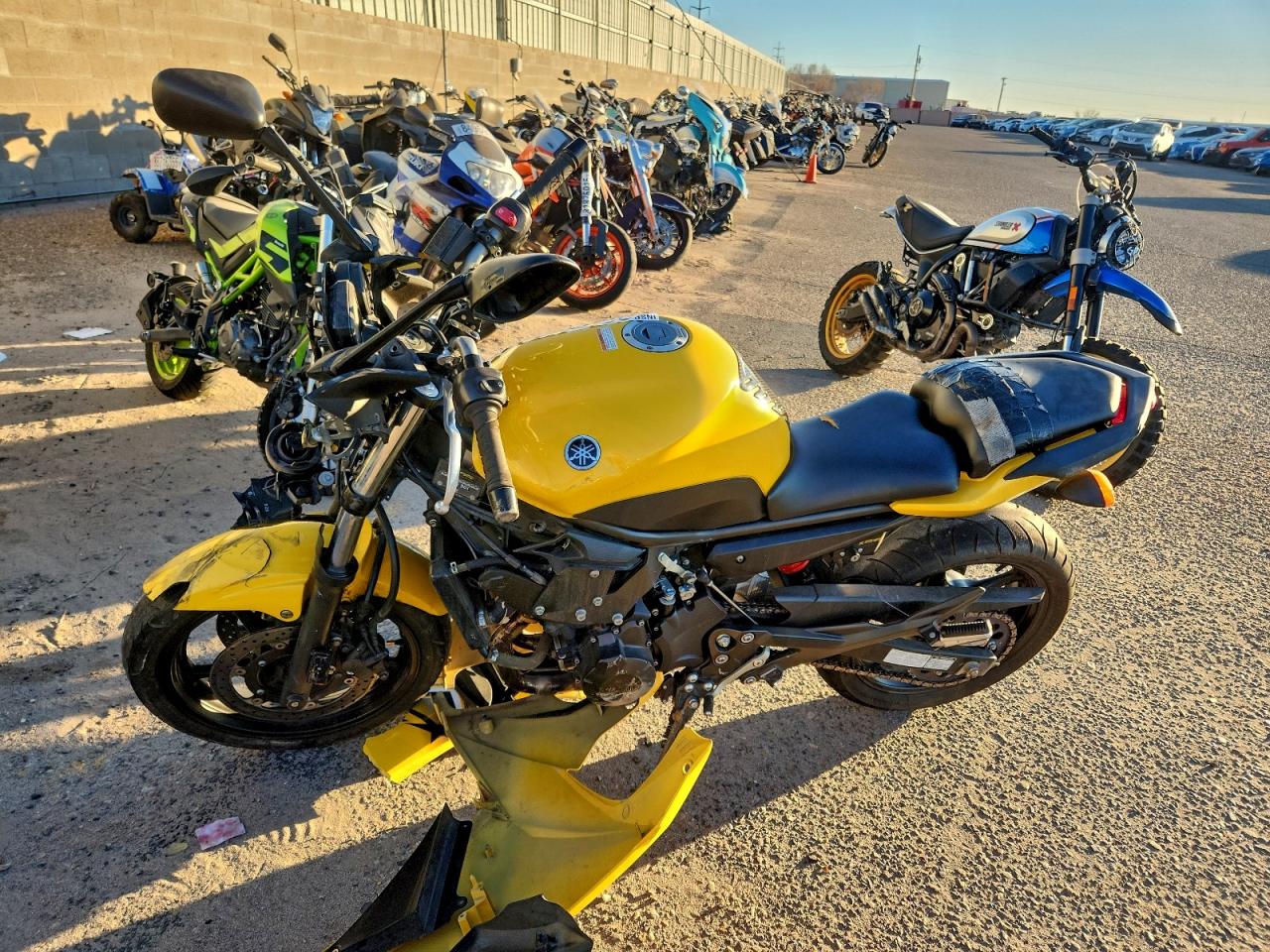 Yamaha Fz600 800 R