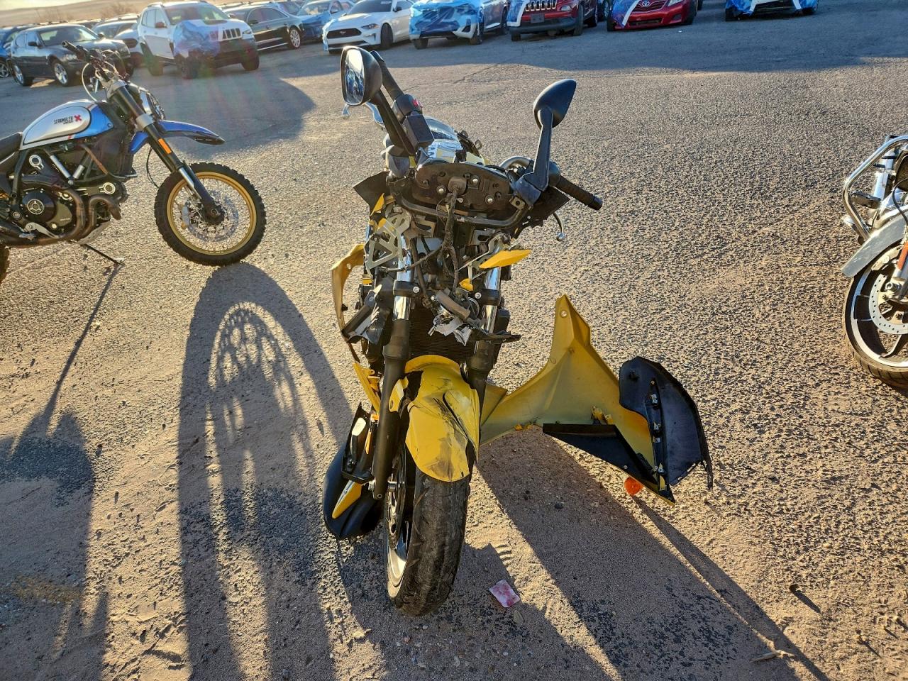 Yamaha Fz600 800 R