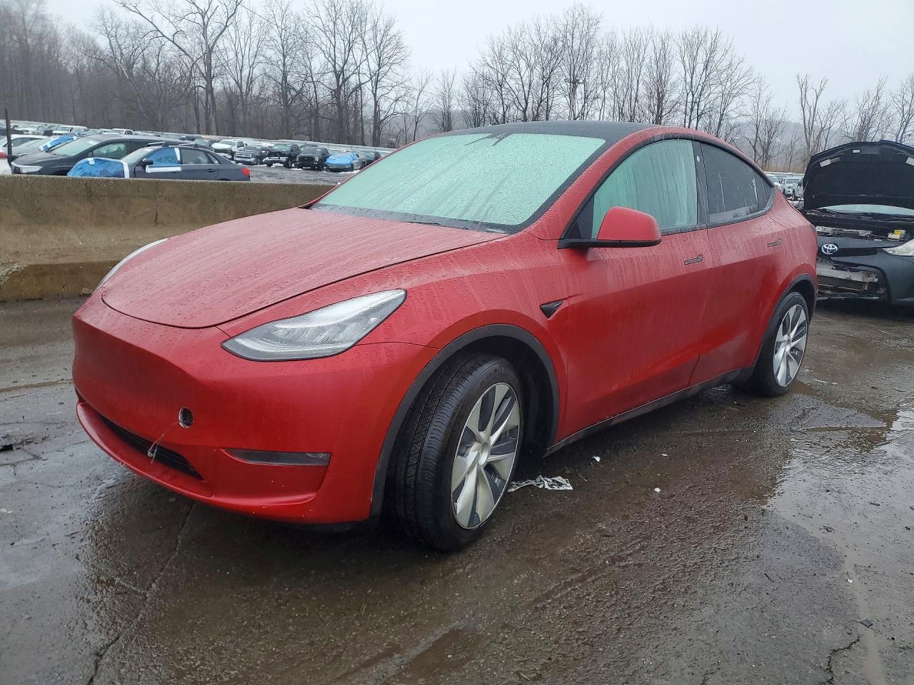 Salvage Tesla Model Y Image