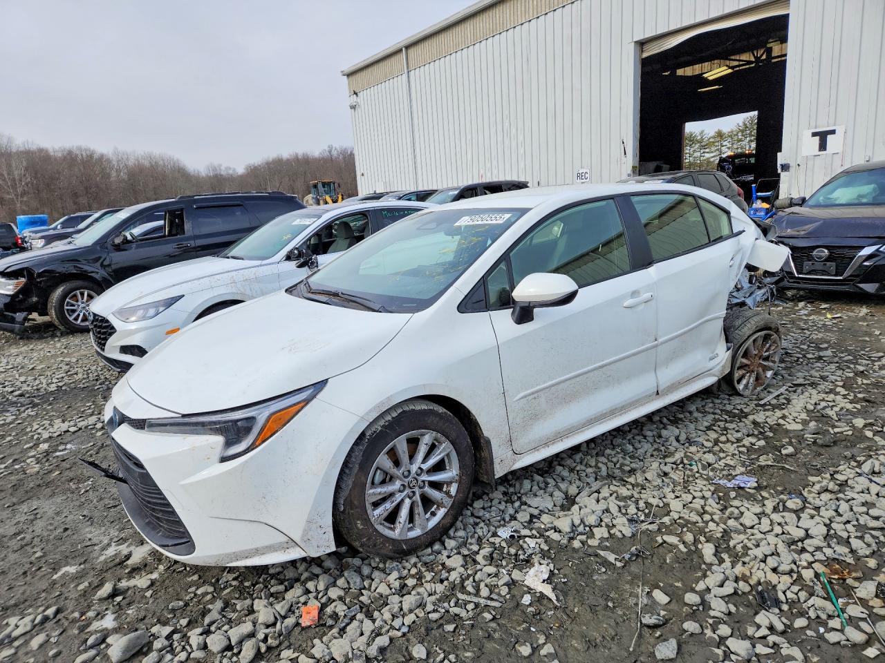 Salvage Toyota Corolla Image