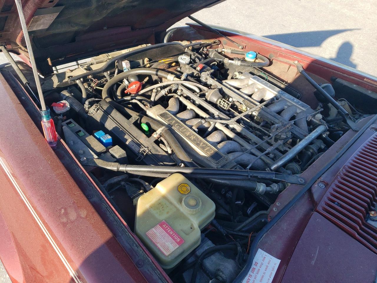 Jaguar Xjs