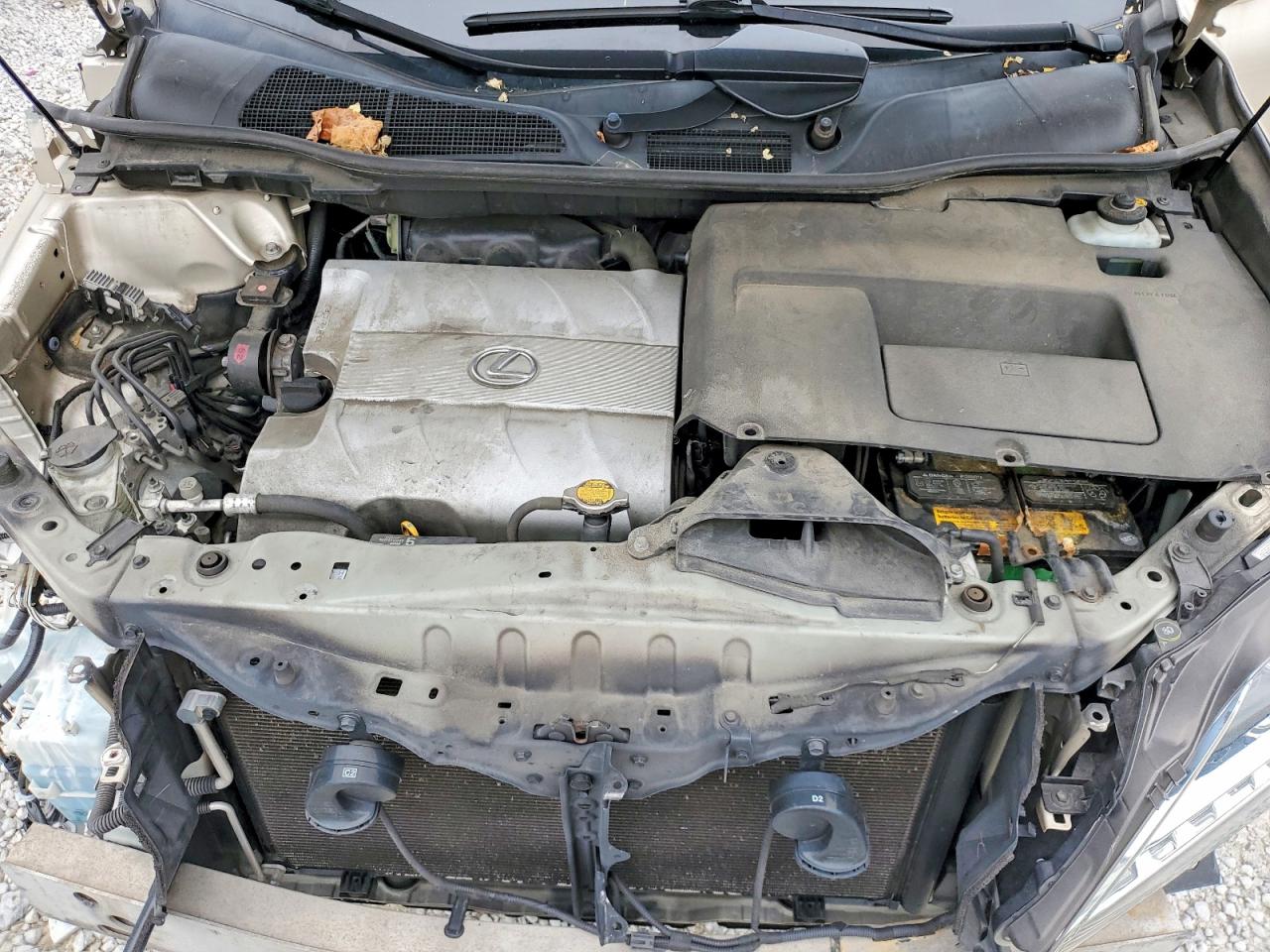 Lexus RX Base