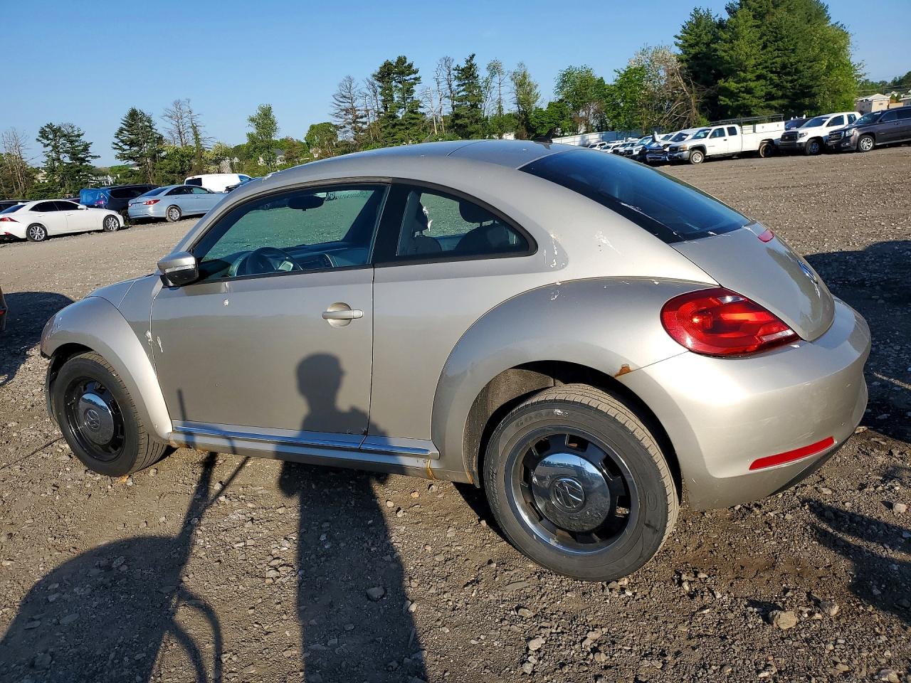 Volkswagen Beetle
