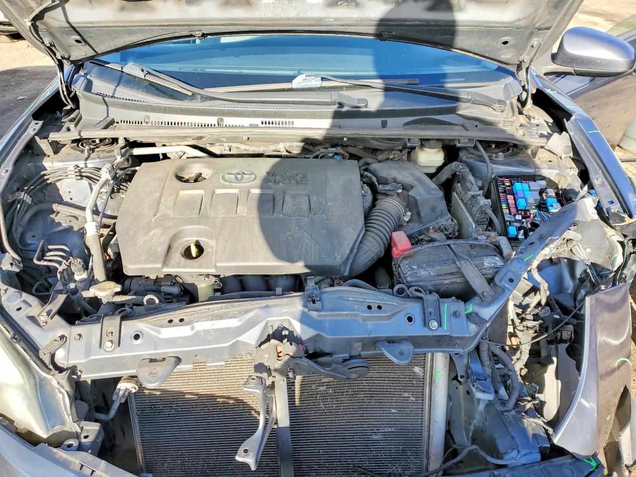 Toyota Corolla Eco