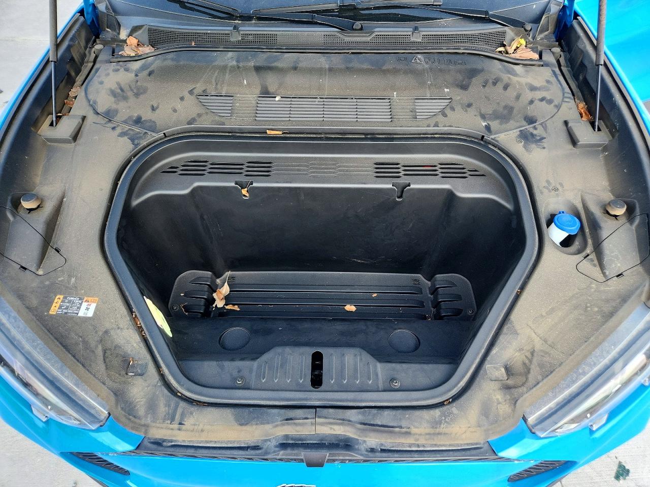 Ford Mustang Select