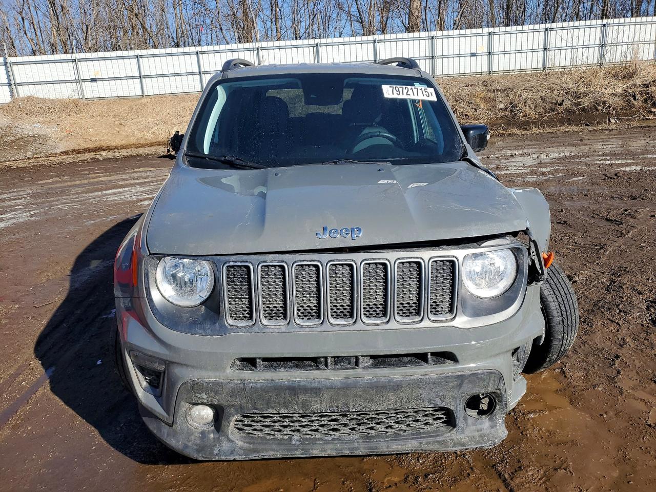 Jeep Renegade Limited