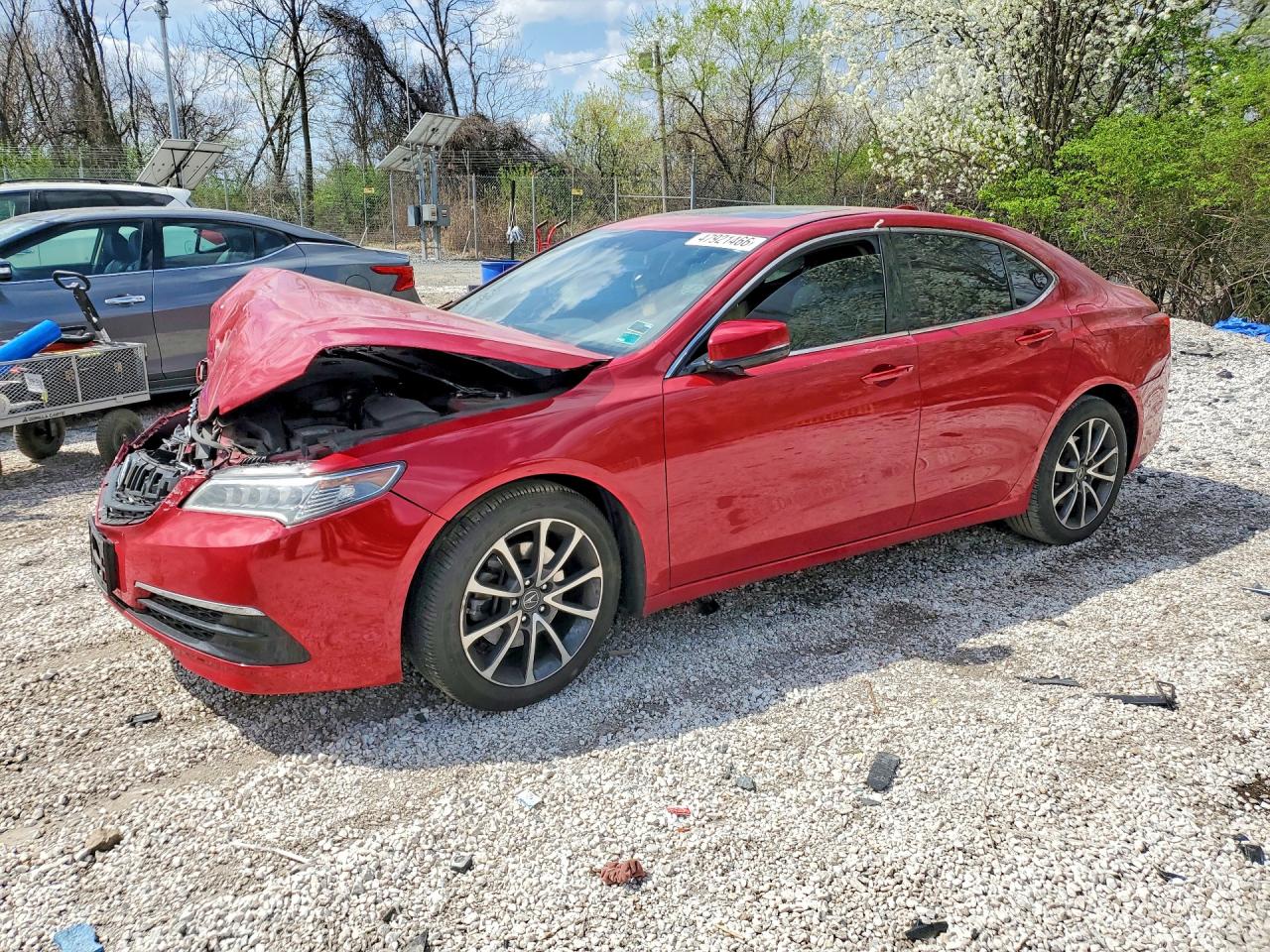 Salvage Acura TLX Image