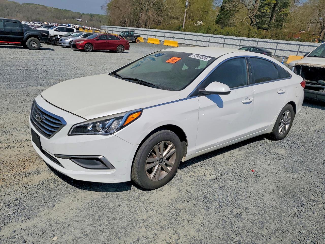 Salvage Hyundai SONATA Image