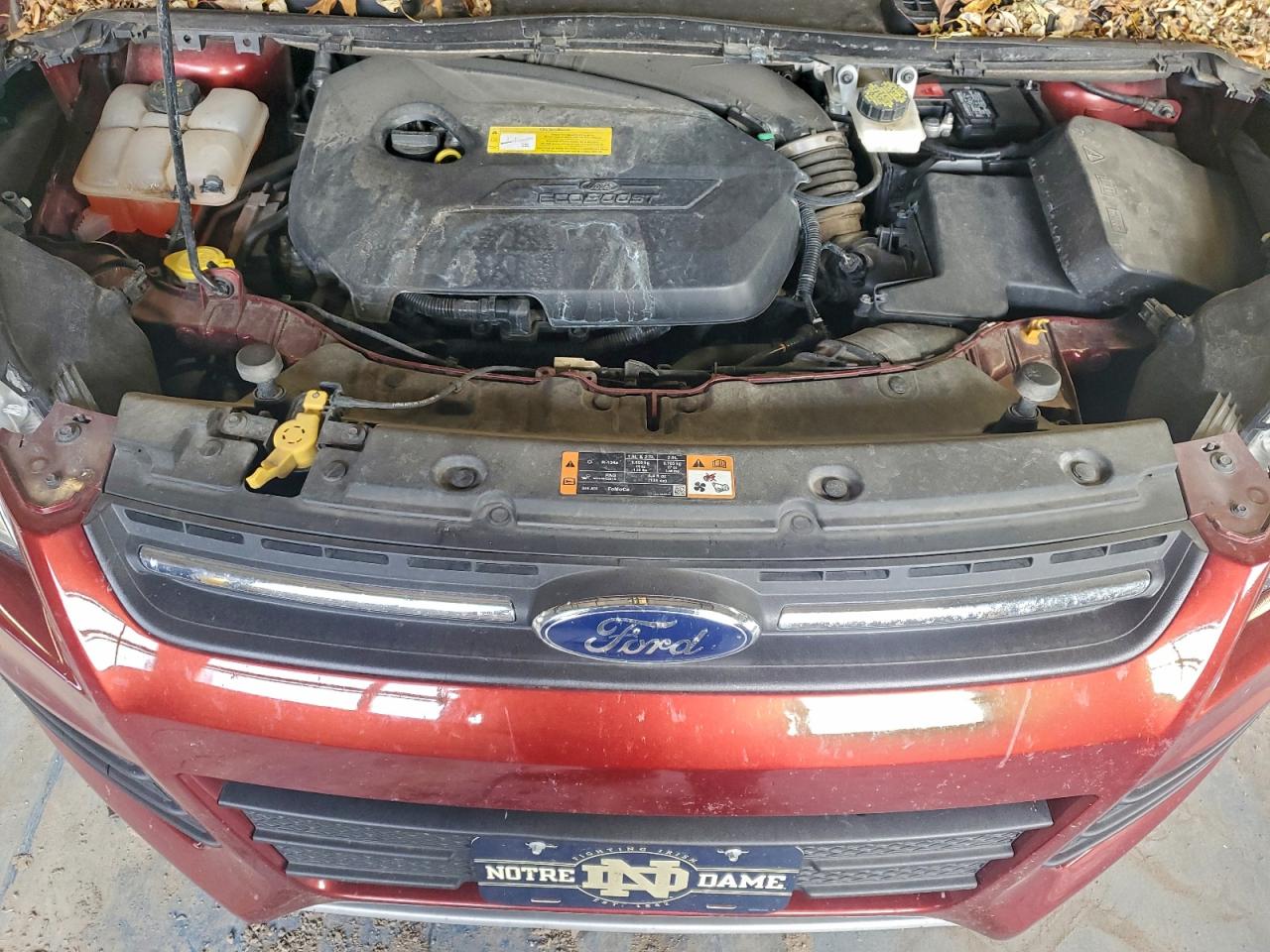 Ford Escape Se