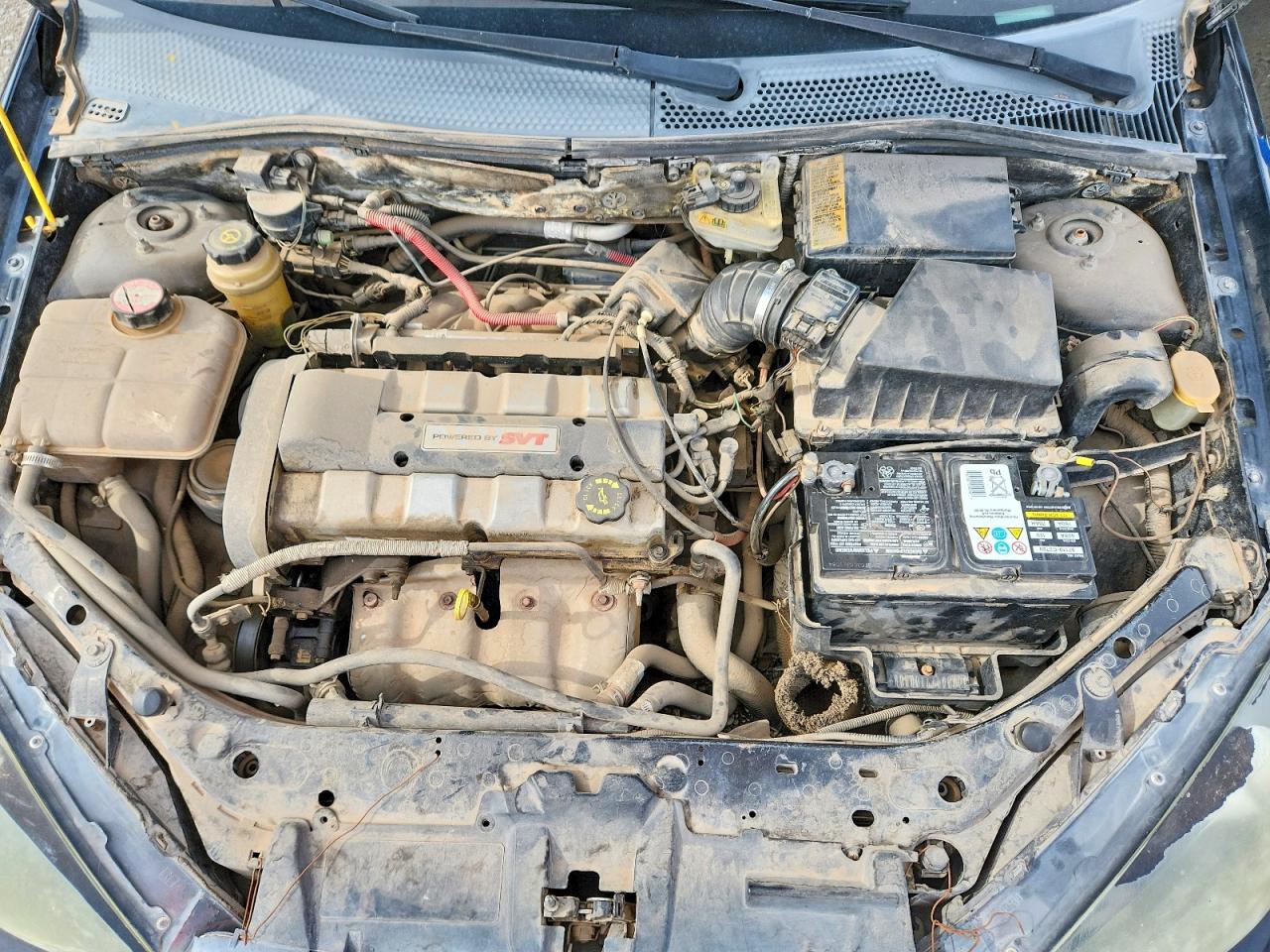 Ford Focus Svt