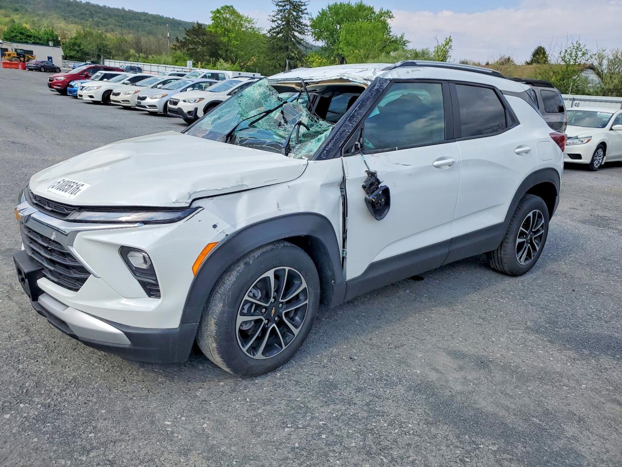 Salvage Chevrolet Trailblaze Image