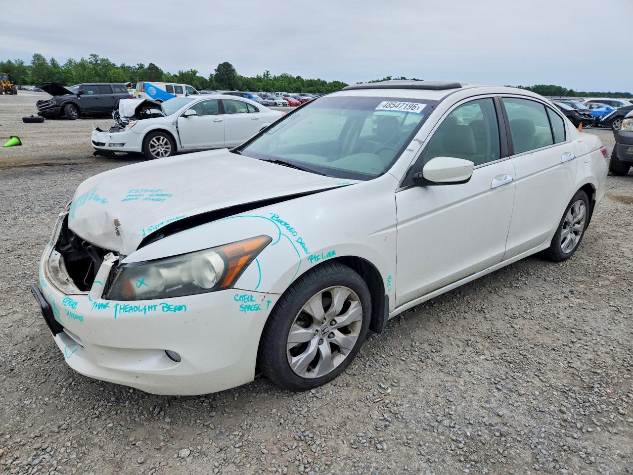 Salvage Honda Accord Image