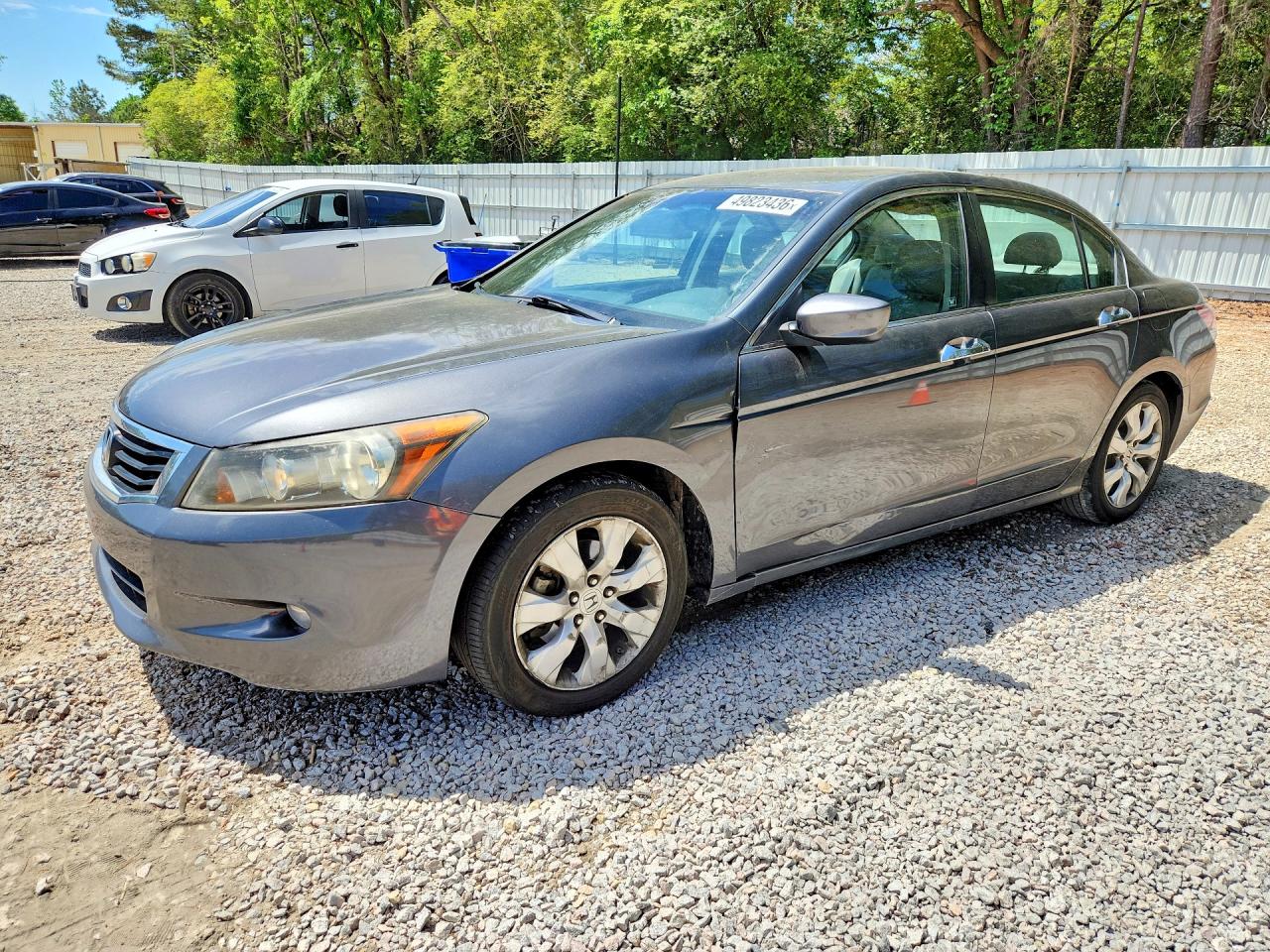 Salvage Honda Accord Image