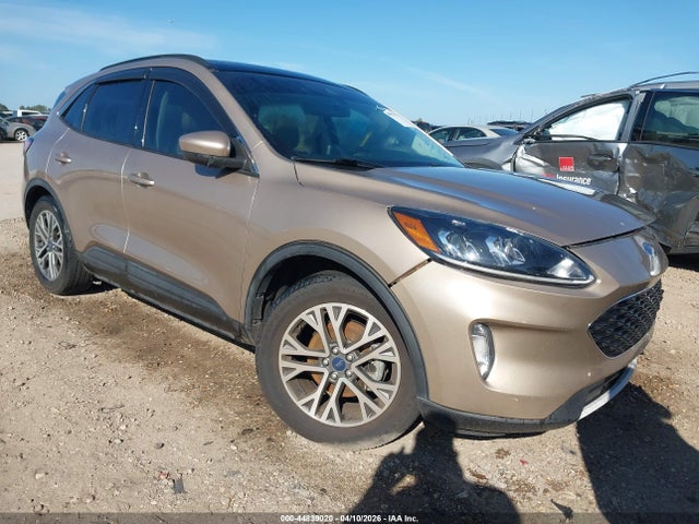 Salvage Ford Escape Image