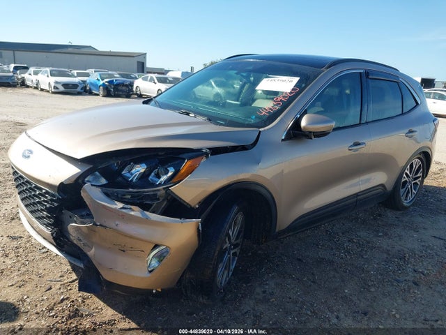Ford Escape Sel